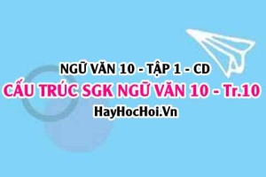 Soạn bài Cấu trúc của sách Ngữ văn lớp 10 trang 10 Cánh Diều tập 1